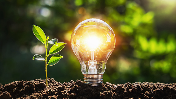 Nachhaltige Energie